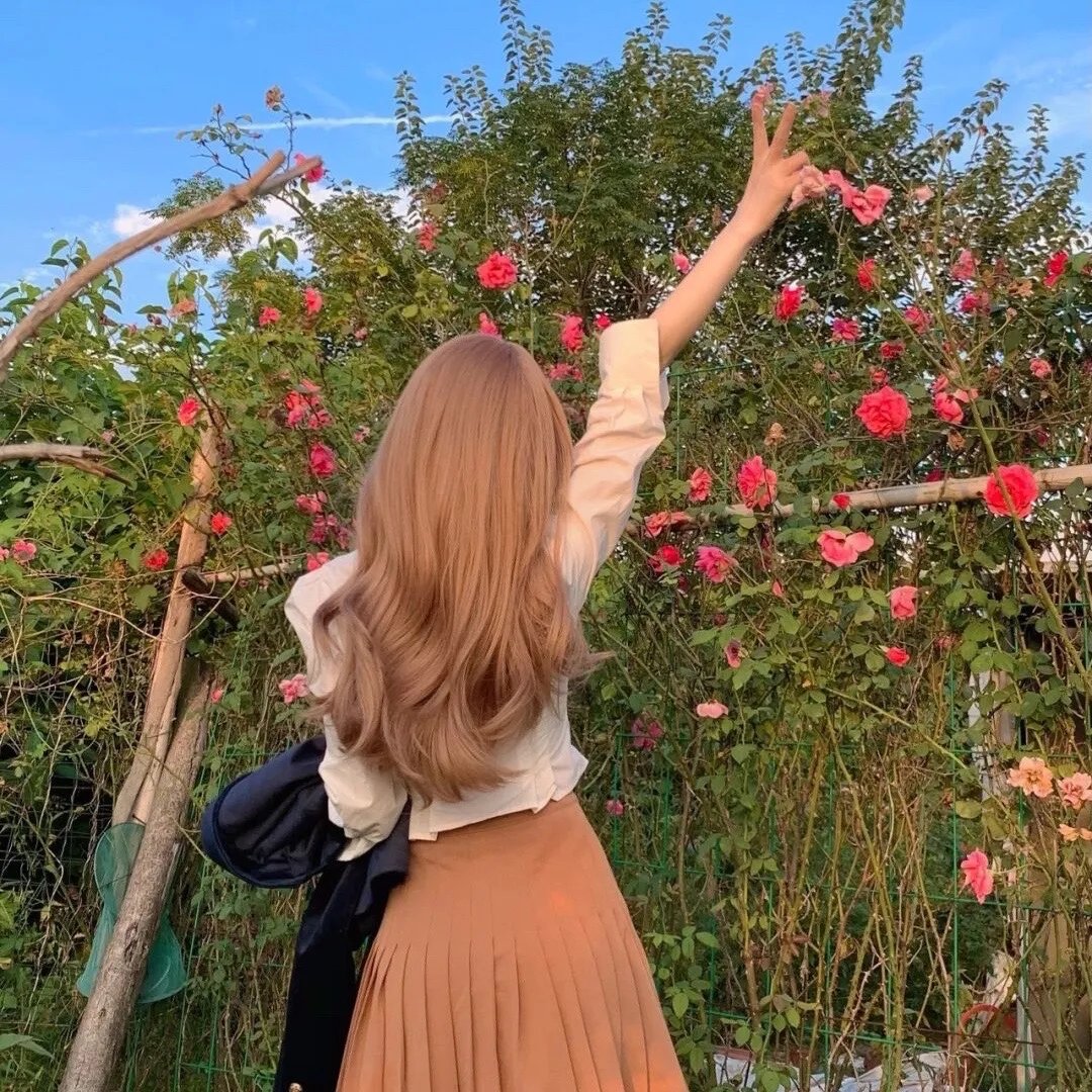 西葫芦的生活